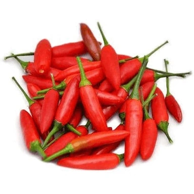 Chilli