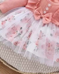  PAESANO ENTREPRISE Baby Girls Festive/Wedding Dress (Pink, Full Sleeve)