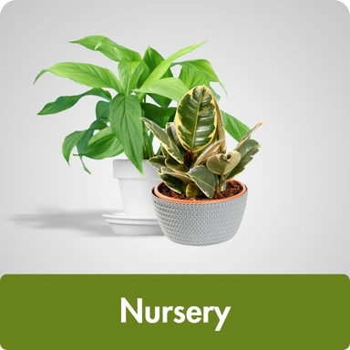 Nursery