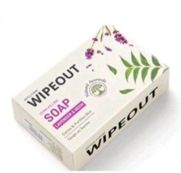 Wipeout Soap