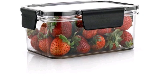 Anjani Feel Fresh Lock & Lock Container 300ml 2 Pcs Set