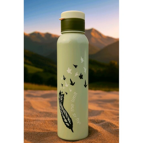 Elegant Feather and Birds Design Water Bottle – Durable, Reusable, and Eco-Friendlyl (random color