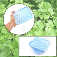 SKVWORLD Plastic Basket for Fruits & Vegetables | Multipurpose Storage Basket 🥦🍎 | Safe, Durable & Easy to Handle | (Pack of 1)