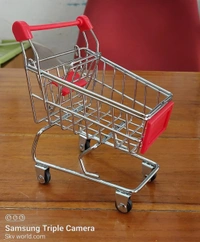 Steel Cart Small(SS)