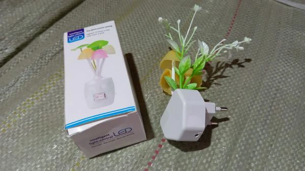 LED Mushroom Night Light – Auto Color Changing, Plug & Play with Light Sensor!
