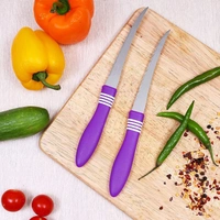 SKVWORLD 2-Piece Fruit Knife Set | High-Grade Stainless Steel | Ultra-Sharp & Dishwasher Safe | Multipurpose Kitchen Knife Set