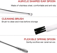 6-IN-1 EAR WAX CLEANER- RESUABLE EAR CLEANING TOOLS LEATHER POUCH