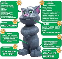 Talking Tom Cat Toy
