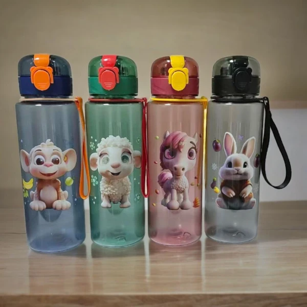 ULTRA PREMIUM WATER BOTTLE - 700ML