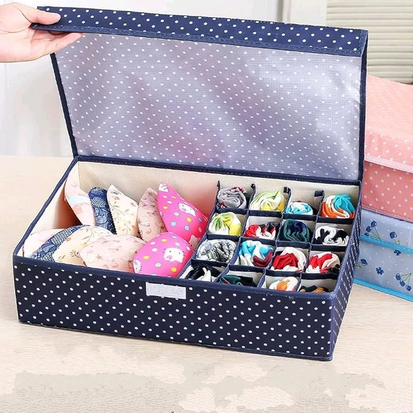 Innerwear Organizer 16 Compartment
