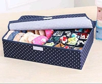 Innerwear Organizer 16 Compartment