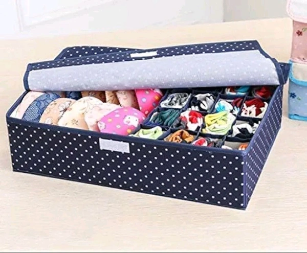 Innerwear Organizer 16 Compartment