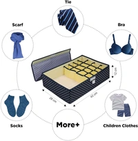 Innerwear Organizer 16 Compartment