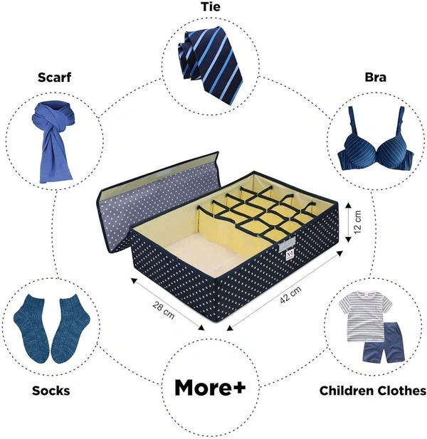 Innerwear Organizer 16 Compartment
