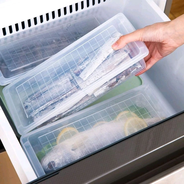 Food Storage Container With Removable Drain Plate And Lid(Pack Of 1 Pc)