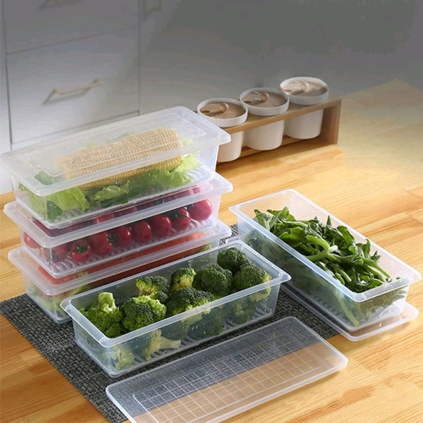 Food Storage Container With Removable Drain Plate And Lid(Pack Of 1 Pc)