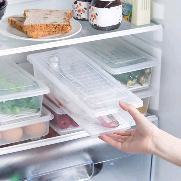 Food Storage Container With Removable Drain Plate And Lid(Pack Of 1 Pc)