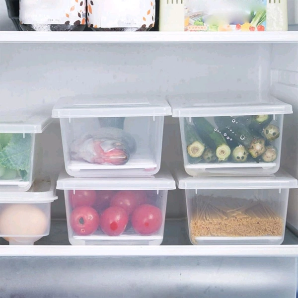 Food Storage Container With Removable Drain Plate And Lid(Pack Of 1 Pc)