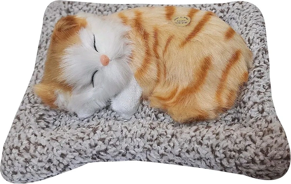 Soft Toys | Ultra Soft Cute Cat with Matt | Gift for Boys, Girls, Childrens | Birthday Gift