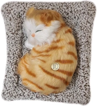 Soft Toys | Ultra Soft Cute Cat with Matt | Gift for Boys, Girls, Childrens | Birthday Gift