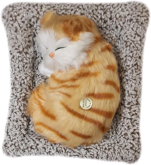 Soft Toys | Ultra Soft Cute Cat with Matt | Gift for Boys, Girls, Childrens | Birthday Gift