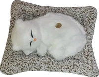 Soft Toys | Ultra Soft Cute Cat with Matt | Gift for Boys, Girls, Childrens | Birthday Gift