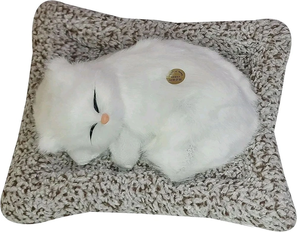 Soft Toys | Ultra Soft Cute Cat with Matt | Gift for Boys, Girls, Childrens | Birthday Gift