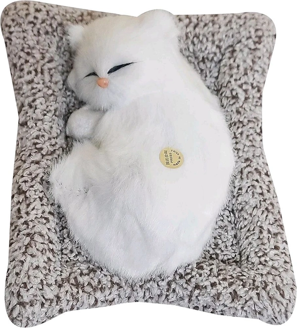 Soft Toys | Ultra Soft Cute Cat with Matt | Gift for Boys, Girls, Childrens | Birthday Gift