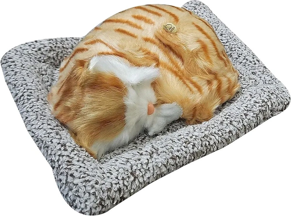 Soft Toys | Ultra Soft Cute Cat with Matt | Gift for Boys, Girls, Childrens | Birthday Gift