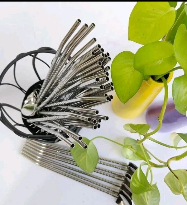 Stainless Steel Spoon With Straw (Pack Of 6 With Brush)