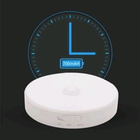 Motion Sensor Light