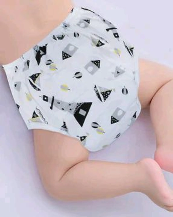 Reusable Diaper