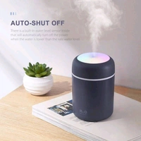 H2o Humidifier