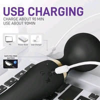 Double Vibrate Body Massager 