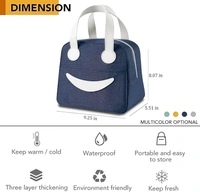 Lunch Bag for Women & Men, Insulated Lunch Bag, Tiffin Lunch Bag for Office/College/School, Lightweight, Durable Handles (Black)