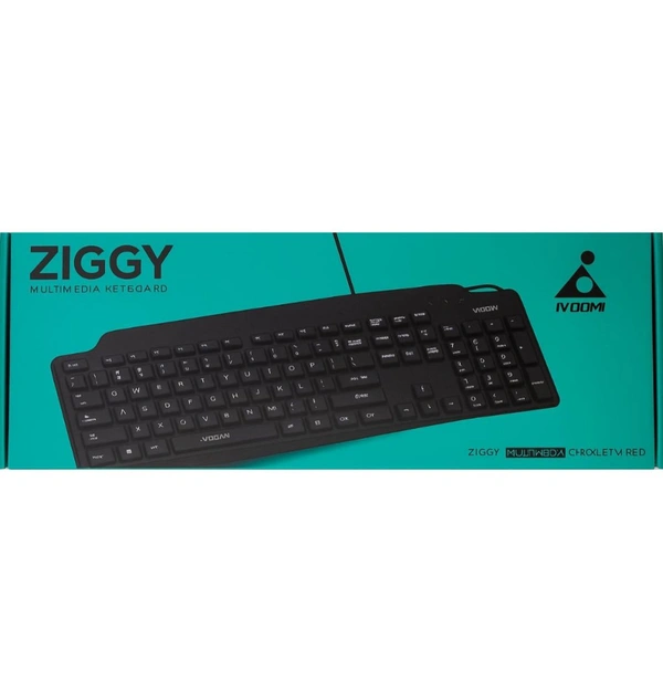 Ivoomi Ziggy Multimedia Wired USB 114 Keys Standard Desktop Keyboard Compatible with Desktop, Laptop