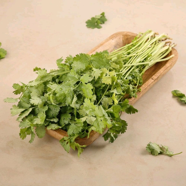 Coriander Bunch
