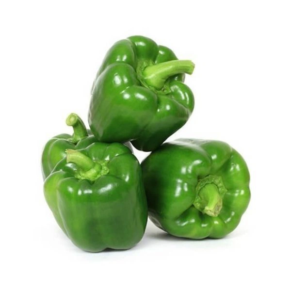 Capsicum