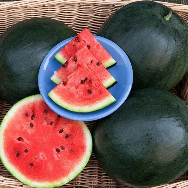 Watermelon Cut