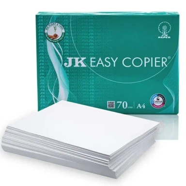 normal a4 size paper services