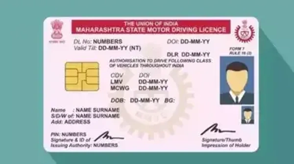 LL APPLY NEW