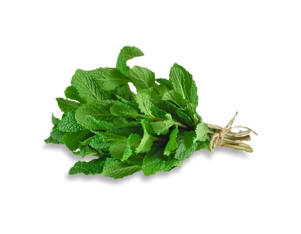 Mint Leaves(Pudina) - 100g