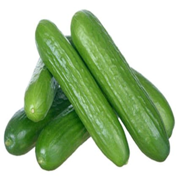 Cucumber(kheera) - 500g