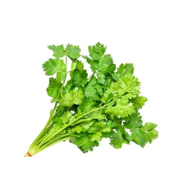 Coriander Bunch(Dhaniya Patta) -100g