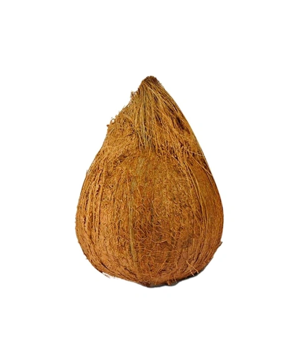  Coconut(Nariyal) - 1pcs