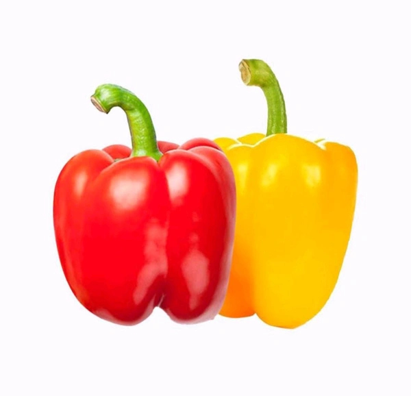 Yellow&Red Capsicum —1pcs