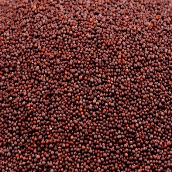 Rai - 50g
