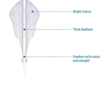 Badminton Shuttlecock - White