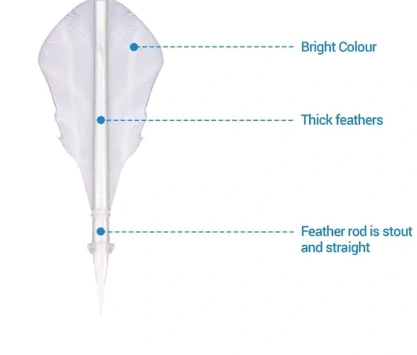 Badminton Shuttlecock - White