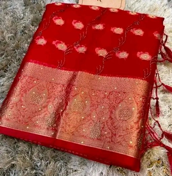Organza Stone Work Saree  - Free Size
